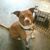 Jason Pottier's profile image