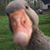 John Lang's profile image