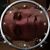 Brandon Lane's profile image
