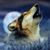 Jim Duncan's profile image