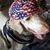 Lisa Rhodes's profile image