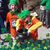 Lisa M Fratus's profile image