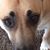 Marilyn Beitler's profile image