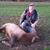 Ken Jeske's profile image