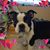 Kim Fantich Karvelas's profile image