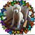 Sharon Kassel's profile image