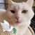 Jennifer Bartus's profile image