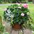 Helen Bosse's profile image
