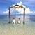 Linh Trinh's profile image