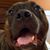 Amy Pastman's profile image