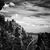 Jerame James Dooly's profile image