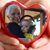 Denise Creque Tupa's profile image