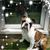 Nancy Beberness's profile image