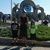 Jeri Ortega's profile image