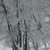 Lori Freese's profile image