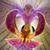 Laura McArthur-Hines's profile image