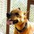 Callie Martin Lhost's profile image