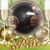 Judy Toler's profile image