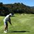 Daniel Gutierrez's profile image