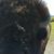 Shirley Dowdy's profile image