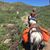 Lyndsay Smith's profile image