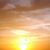 Geri Ozak-Brown's profile image