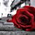 Kathy Ranson's profile image