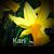 Kari Ann Barnett Gossett's profile image