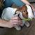 Valerie Ann's profile image