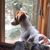 Elaine Knauer Moore's profile image