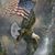 David Clayton's profile image