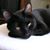Sue Johnson Smart's profile image