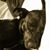 Michelle L Riley's profile image