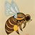 Mary Ager Caplan's profile image