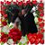 Barb Deason's profile image