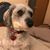 Dave Farina's profile image