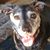 Kathy Lebo's profile image