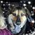 Julie Rosa-Hilliard's profile image