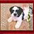 Joanne Read's profile image