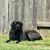 Gina Marsh Dromgoole's profile image