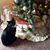 Barbara Hanson Myhal's profile image