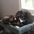 Valerie W. Christopher's profile image