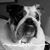 Terry Young's profile image