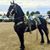 Efrain Soto's profile image
