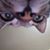 Jeanmari Michael's profile image