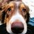Lisa Ward Hollar's profile image