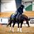 Martina Morell's profile image