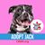 Damaris Gomez-Ceron's profile image