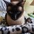 Gina Cochrane Sharp's profile image