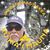 Harry K Ka's profile image